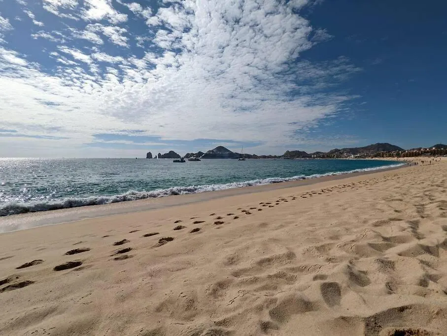 Endless Summer: Oceanview Condo with Pool, Steps from Beach Cabo San Lucas 0*,